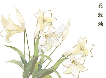 百合花卉背景元素图片