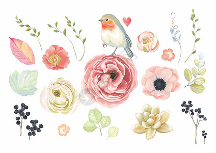彩色卡片植物花卉鸟类背景素材插画