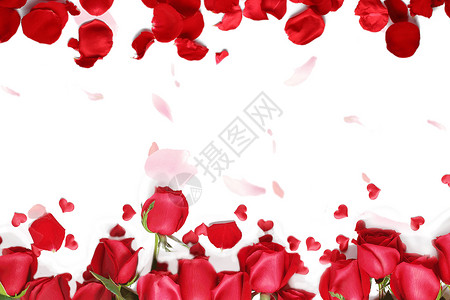 白底banner玫瑰背景设计图片