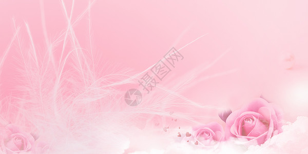 贝壳粉素材粉色浪漫花朵背景设计图片