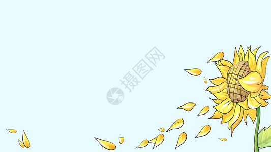 桌面花草向日葵背景插画