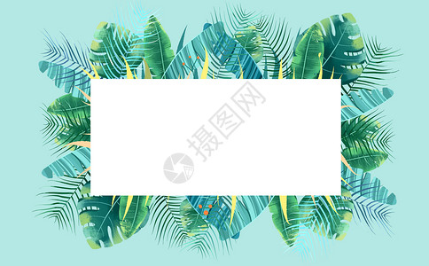 棕榈叶背景素材热带植物背景插画