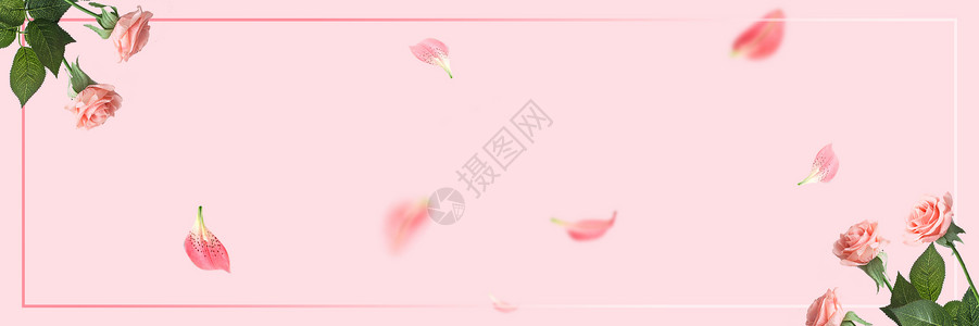 粉色花瓣简约背景背景图片