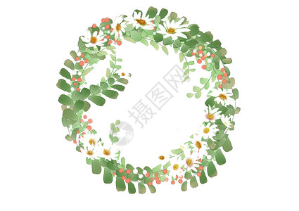 绿色树枝藤蔓白色雏菊花环插画