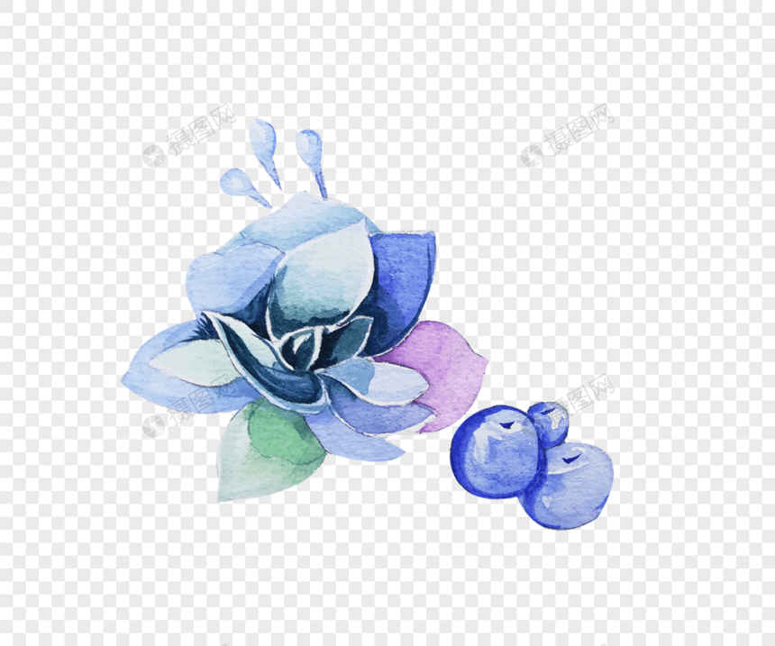 蓝色的花 蓝莓图片