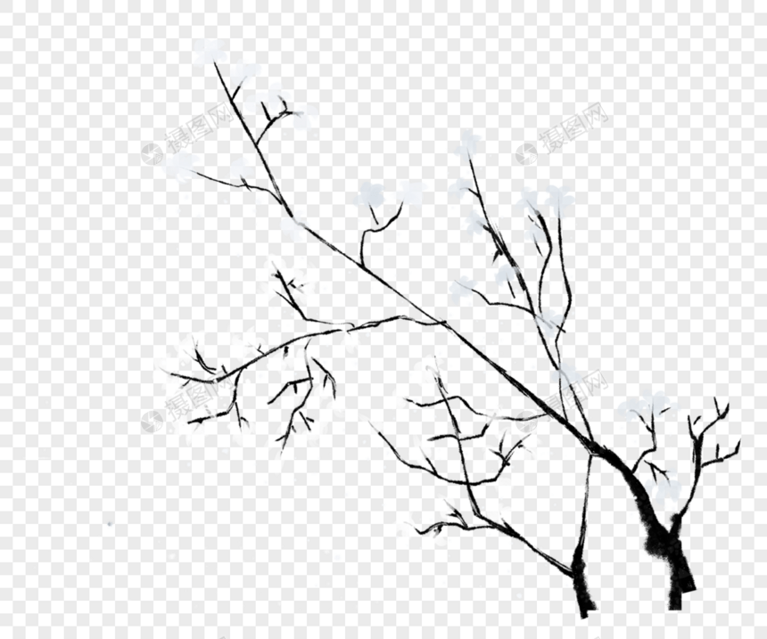 树枝上的雪图片