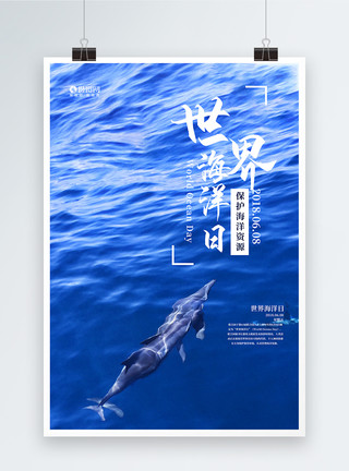 大海海豚世界海洋日海报模板