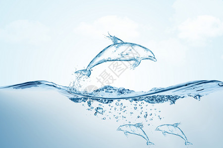 蓝色背景世界水日海报创意海豚设计图片