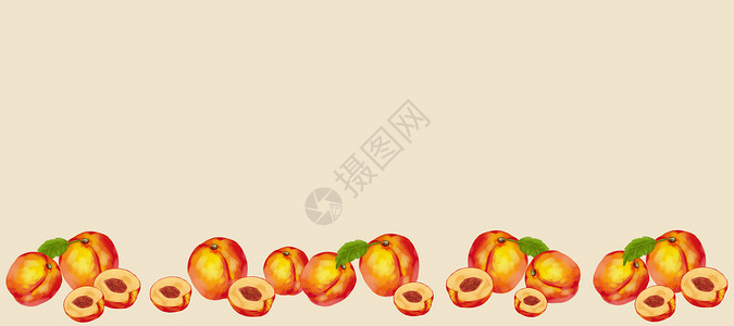 热带水果边框油桃二分之一留白背景插画