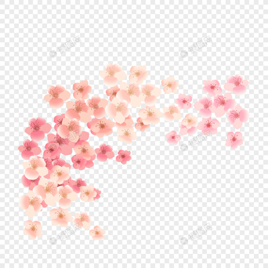 粉色花卉素材图片