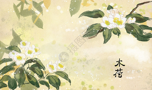 水墨书法传统艺术茶道中国风中国风木荷花插画插画