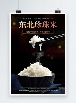 米饭快餐东北珍珠米海报模板