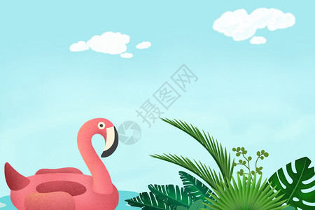 火烈鸟和热带植物花卉背景图片