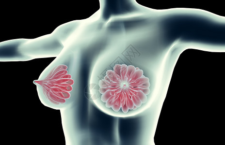胸型乳腺背景设计图片