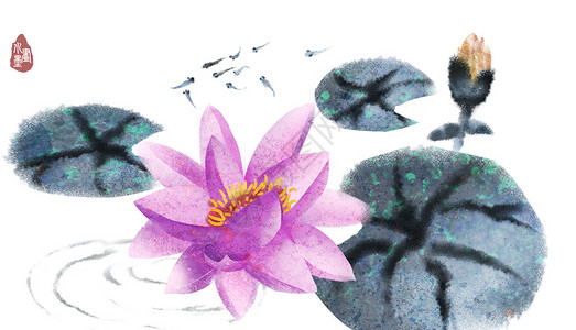 紫色睡莲中国风水墨睡莲插画