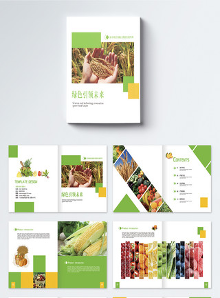 厨房食品配料水果食品画册整套模板