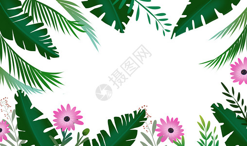 植物背景图片