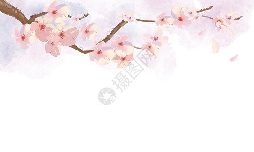 粉色折角边框桃花插画