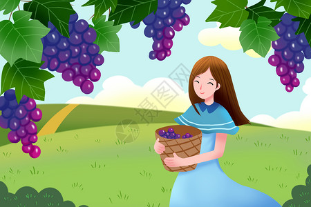 葡萄成熟了夏季摘葡萄插画