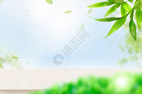 苏州绿叶素材清新自然背景设计图片