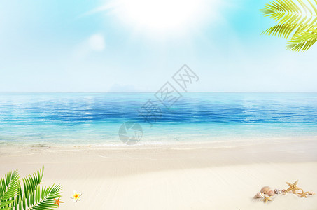 海星贝壳素材夏日海滩背景设计图片