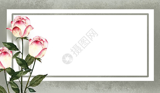 玫瑰花相框花卉插画