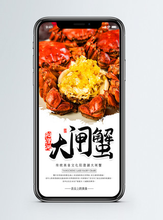大海鲜美食手机海报配图模板