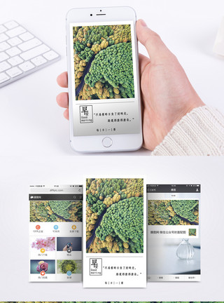 公路森林早安你好手机海报配图模板
