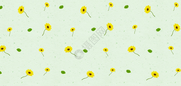 夏日植物边框小雏菊插画