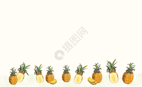 夏日菠萝边框菠萝插画