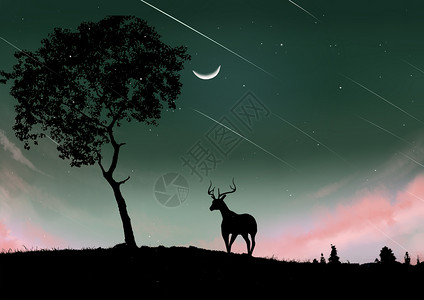 夜幕下的鹿图片