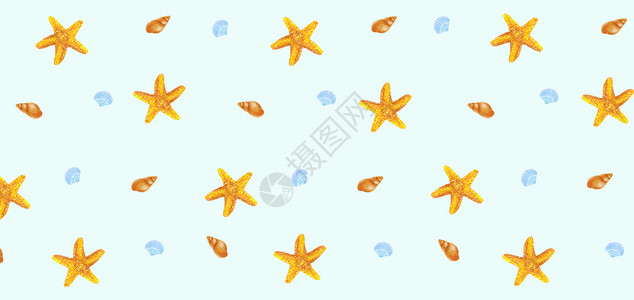 海螺逼真手绘海星贝壳插画