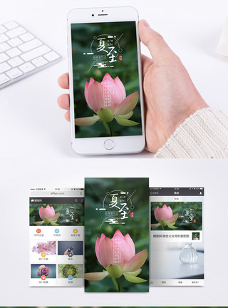 夏天植物元素夏至节气手机海报配图模板
