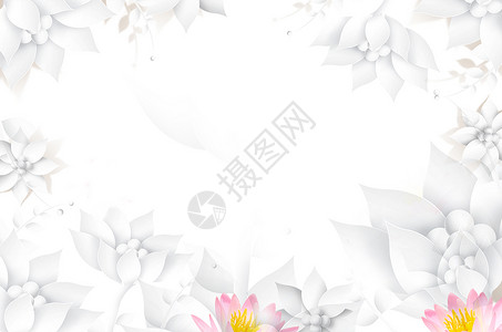 浪漫白色鲜花花朵清新白色背景设计图片