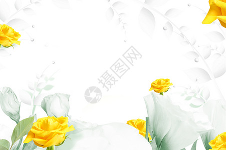 清新花朵背景背景图片