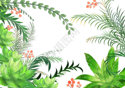 米白色折扇植物背景插画