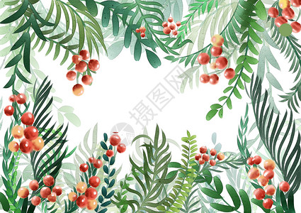 红色果子壁纸植物背景插画