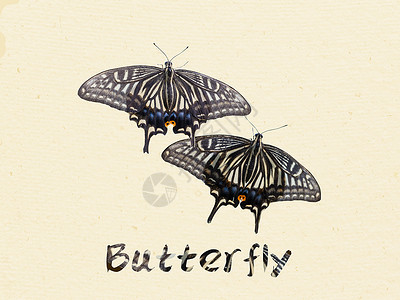 清新唯美手绘水彩蝴蝶背景图片
