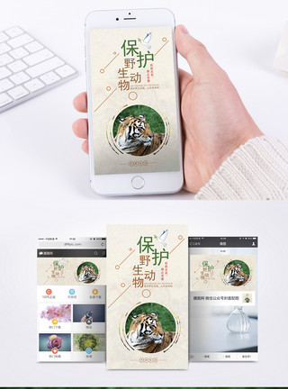 野生榛蘑保护野生动物手机海报配图模板