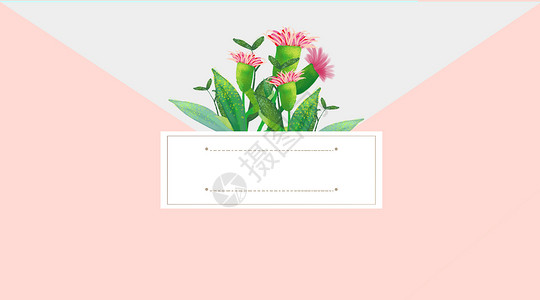 婚礼简约蕾丝边框手绘信封花卉背景插画