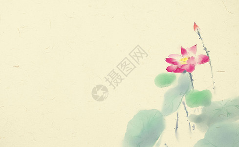 花卉中国风古风荷花背景插画