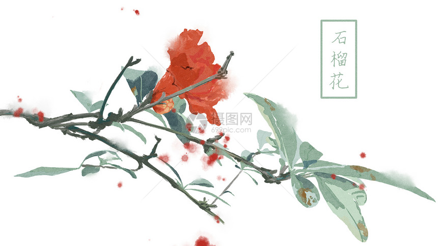 中国风手绘石榴花背景图片