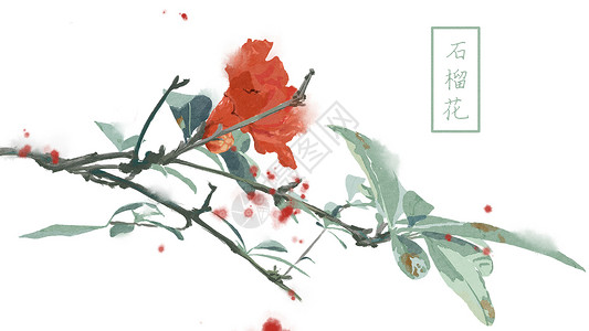 中国风手绘石榴花背景高清图片