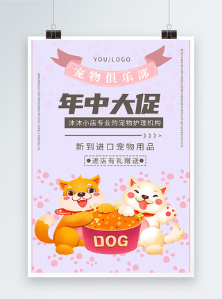 泰迪犬宠物俱乐部促销海报模板