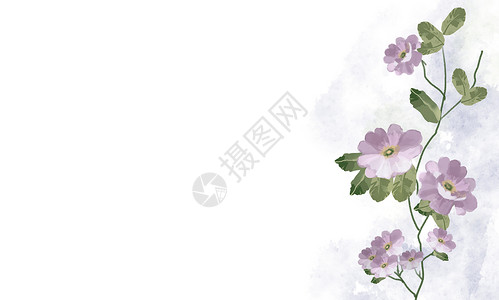 夏季花草边框紫色花插画