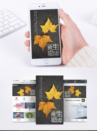 桦树茸生命痕迹手机海报配图模板