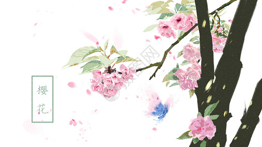 手绘粉色花和叶水彩风手绘樱花插画插画