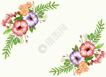 清新花卉插画图片