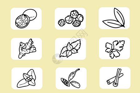 植物香料香料图标插画