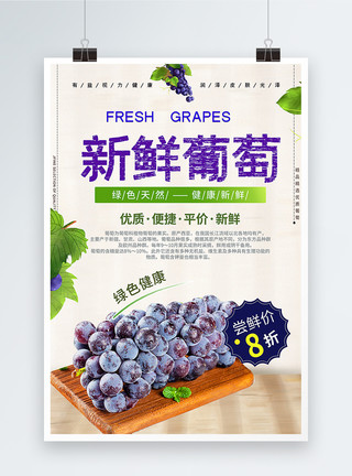 紫色葡萄边框新鲜葡萄水果海报模板